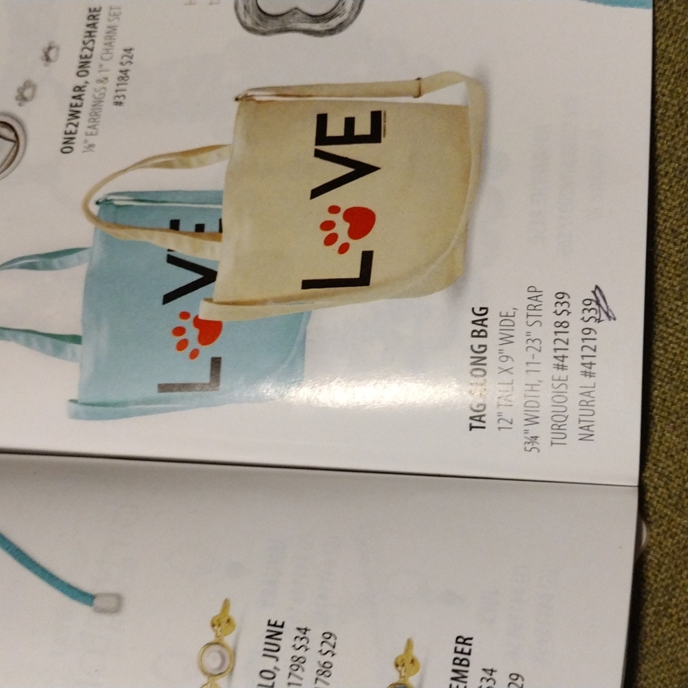 Tag along bag
